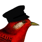 Vintage Bird wearing hat